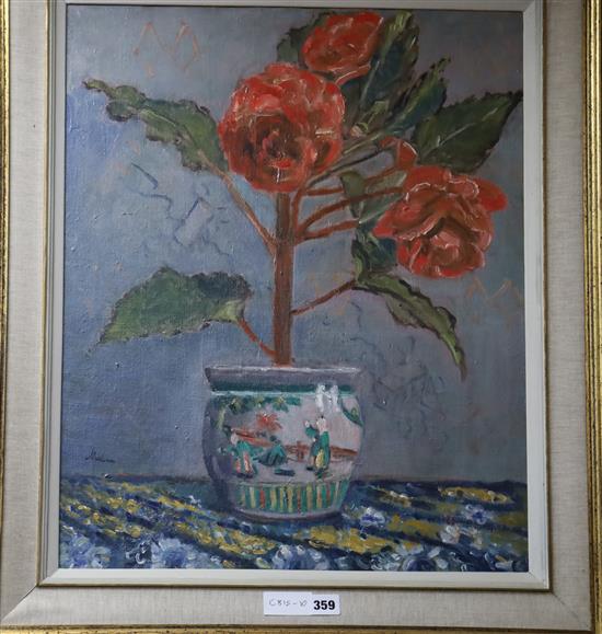 Paul Ayshford Lord Methuen (1886-1974) oil on canvas, Begonia in a Chinese vase, signed, 61 x 51cm.